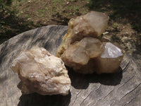 Natural Smokey White Phantom Quartz Clusters  x 3 From Luena, Congo - TopRock