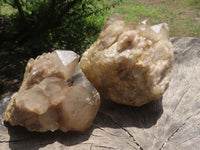 Natural Smokey White Phantom Quartz Clusters  x 3 From Luena, Congo - TopRock