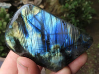 Polished Flashy Labradorite Standing Free Forms  x 6 From Tulear, Madagascar - TopRock