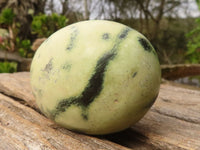 Polished Spotted Leopard Stone Gallets  x 6 From Zimbabwe - Toprock Gemstones and Minerals 