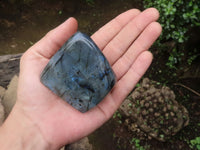 Polished Flashy Labradorite Standing Free Forms  x 6 From Tulear, Madagascar - TopRock