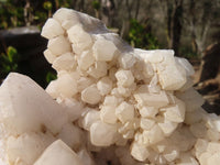 Natural Castle Quartz Cluster x 1 From Ivato, Madagascar