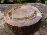 Polished Gorgeous Petrified Podocarpus Wood Bowl  x 1 From Madagascar - TopRock