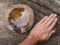 Polished Gorgeous Petrified Podocarpus Wood Bowl  x 1 From Madagascar - TopRock