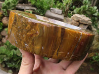 Polished Gorgeous Petrified Podocarpus Wood Bowl  x 1 From Madagascar - TopRock