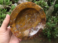 Polished Gorgeous Petrified Podocarpus Wood Bowl  x 1 From Madagascar - TopRock