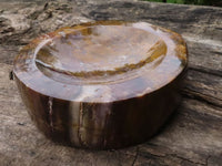 Polished Gorgeous Petrified Podocarpus Wood Bowl  x 1 From Madagascar - TopRock