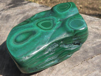 Polished Malachite Free Forms With Stunning Flower & Banding Patterns x 6 From Kolwezi, Congo - TopRock