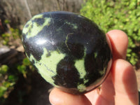 Polished Leopard stone Gallets  x 12 From Zimbabwe