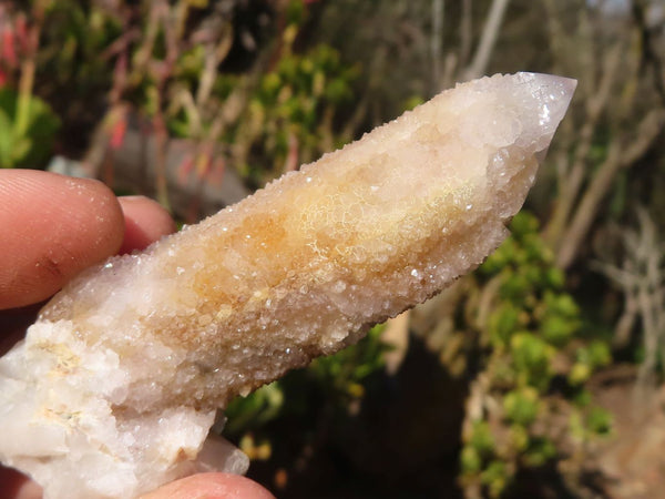 Natural Mixed Spirit Quartz Clusters x 12 From Boekenhouthoek, South Africa