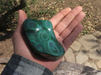 Polished Malachite Free Forms With Stunning Flower & Banding Patterns x 6 From Kolwezi, Congo - TopRock