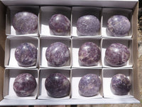 Polished Lepidolite Mica Palm Stones  x 12 From Madagascar - TopRock