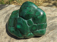 Polished Malachite Free Forms With Stunning Flower & Banding Patterns x 6 From Kolwezi, Congo - TopRock