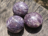 Polished Lepidolite Mica Palm Stones  x 12 From Madagascar - TopRock