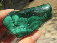 Polished Malachite Free Forms With Stunning Flower & Banding Patterns x 6 From Kolwezi, Congo - TopRock