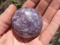 Polished Lepidolite Mica Palm Stones  x 12 From Madagascar - TopRock