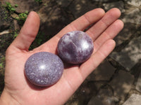 Polished Lepidolite Mica Palm Stones  x 12 From Madagascar - TopRock