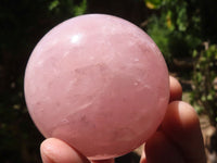 Polished  Star Rose Quartz Spheres x 4 From Ambatondrazaka, Madagascar - TopRock