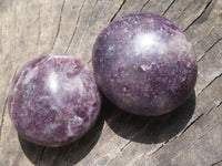 Polished Lepidolite Mica Palm Stones  x 12 From Madagascar - TopRock