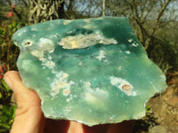 Polished Mtorolite / Emerald Chrysoprase Plates x 3 From Zimbabwe