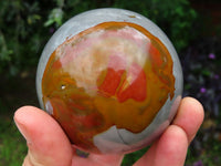 Polished Polychrome Jasper Spheres x 2 From Madagascar - TopRock