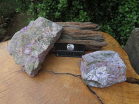 Natural Rare Stichtite & Green Serpentine Specimens x 2 From Barberton, South Africa - TopRock