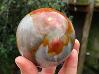 Polished Polychrome Jasper Spheres x 2 From Madagascar - TopRock