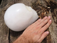 Polished Hand Carved Quartz Crystal Skull x 1 From Madagascar - TopRock