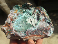 Natural Drusy Coated Chrysocolla & Malachite Dolomite Specimens x 2 From Congo