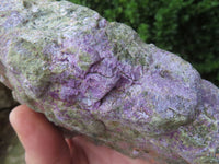 Natural Rare Stichtite & Green Serpentine Specimens x 2 From Barberton, South Africa - TopRock