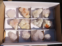 Natural White Cactus Flower Spirit Quartz Specimens x 12 From Boekenhouthoek, South Africa