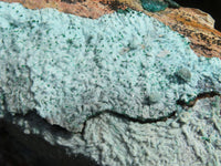 Natural Drusy Coated Chrysocolla & Malachite Dolomite Specimens x 2 From Congo