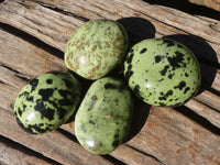 Polished Leopard Stone Palm Stones  x 6 From Zimbabwe