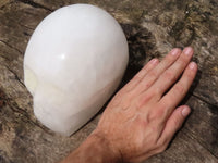 Polished Hand Carved Quartz Crystal Skull x 1 From Madagascar - TopRock