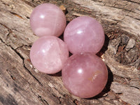 Polished  Star Rose Quartz Spheres x 4 From Ambatondrazaka, Madagascar - TopRock