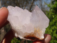 Natural White Cactus Flower Spirit Quartz Specimens x 12 From Boekenhouthoek, South Africa