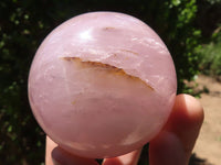 Polished  Star Rose Quartz Spheres x 4 From Ambatondrazaka, Madagascar - TopRock