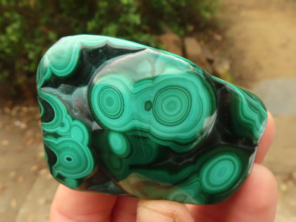 Polished Flower Malachite Free Forms  x 6 From Congo