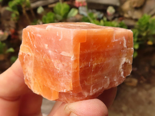 Natural New Sunset Orange Calcite Specimens  x 24 From Spitzkoppe, Namibia - Toprock Gemstones and Minerals 