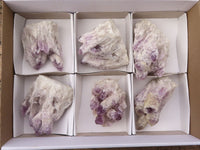 Natural Sugar Amethyst Clusters  x 6 From Solwezi, Zambia