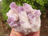 Natural Sugar Amethyst Clusters  x 6 From Solwezi, Zambia