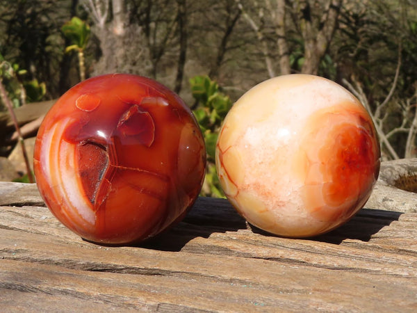 Polished Carnelian Agate Spheres x 3 From Madagascar