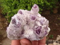 Natural Sugar Amethyst Clusters  x 6 From Solwezi, Zambia