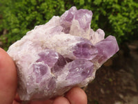 Natural Sugar Amethyst Clusters  x 6 From Solwezi, Zambia