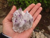 Natural Sugar Amethyst Clusters  x 6 From Solwezi, Zambia