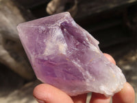 Natural Jacaranda Amethyst Crystals x 12 From Mumbwa, Zambia