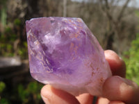 Natural Jacaranda Amethyst Crystals x 12 From Mumbwa, Zambia