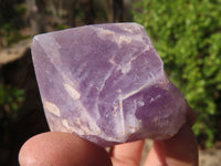 Natural Jacaranda Amethyst Crystals x 12 From Mumbwa, Zambia