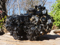 Natural Schorl Black Tourmaline With Hyalite Specimen x 1 From Erongo, Namibia