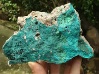 Natural Malachite & Silica Chrysocolla Specimens  x 2 From Congo - TopRock